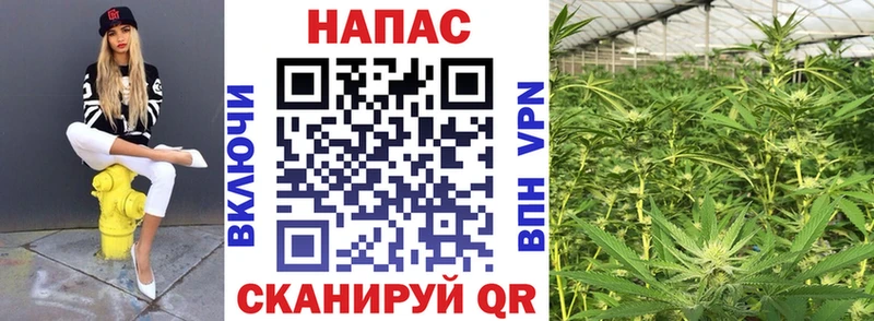 где продают наркотики  МЕГА сайт  Марихуана конопля  Аша 